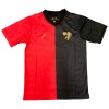 Goedkope Sport Recife Jubileum Shirt 2024-25